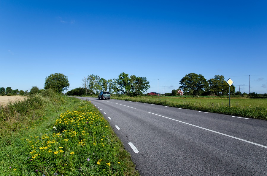 Bil kör på landsväg som passerar grönskande fält och där gula blommor syns vid vägrenen