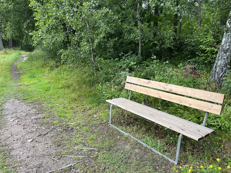 Parkbänk och lövskog i naturreservatet Stadsparken i Askersund.
