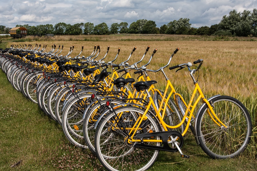 Gula cyklar står på en lång rad på gräset