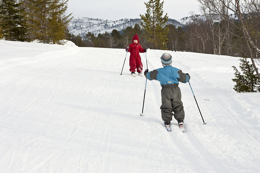 Två barn som åker skidor